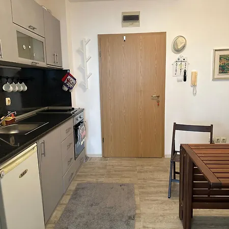 оазис رافدا