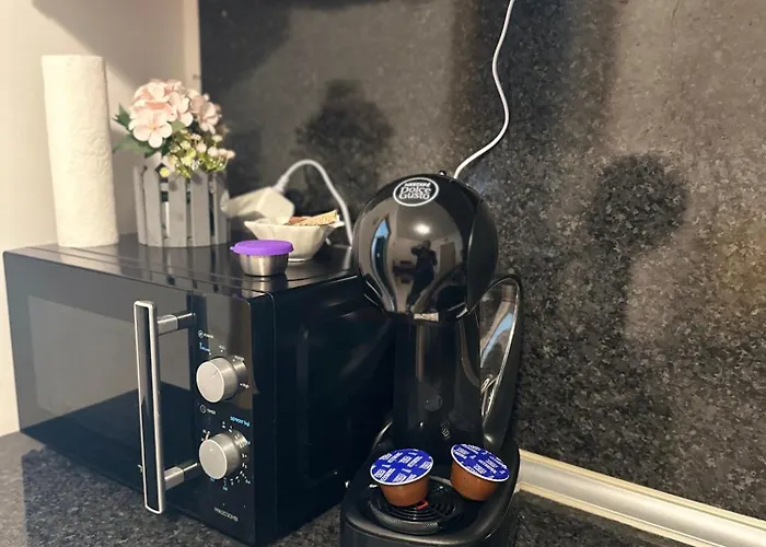 оазис * رافدا