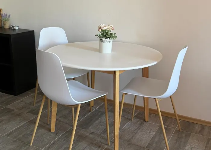 оазис * رافدا