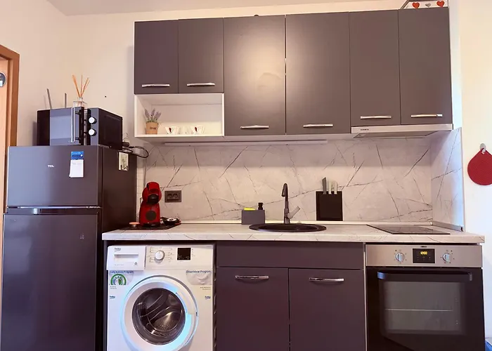 оазис * רבדה